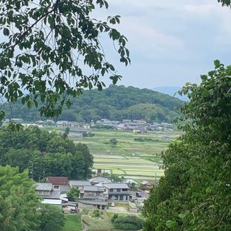 ちょっと見難いですが、天香久山です