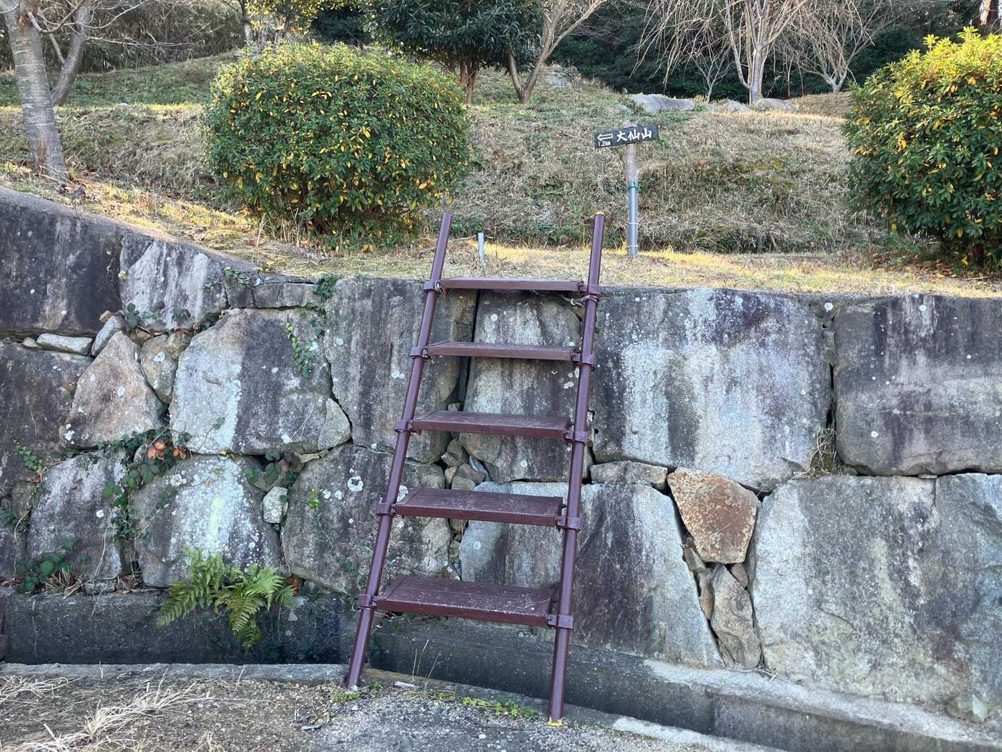 駐車場の一角にハシゴがかかってます。ここから登山道へ。