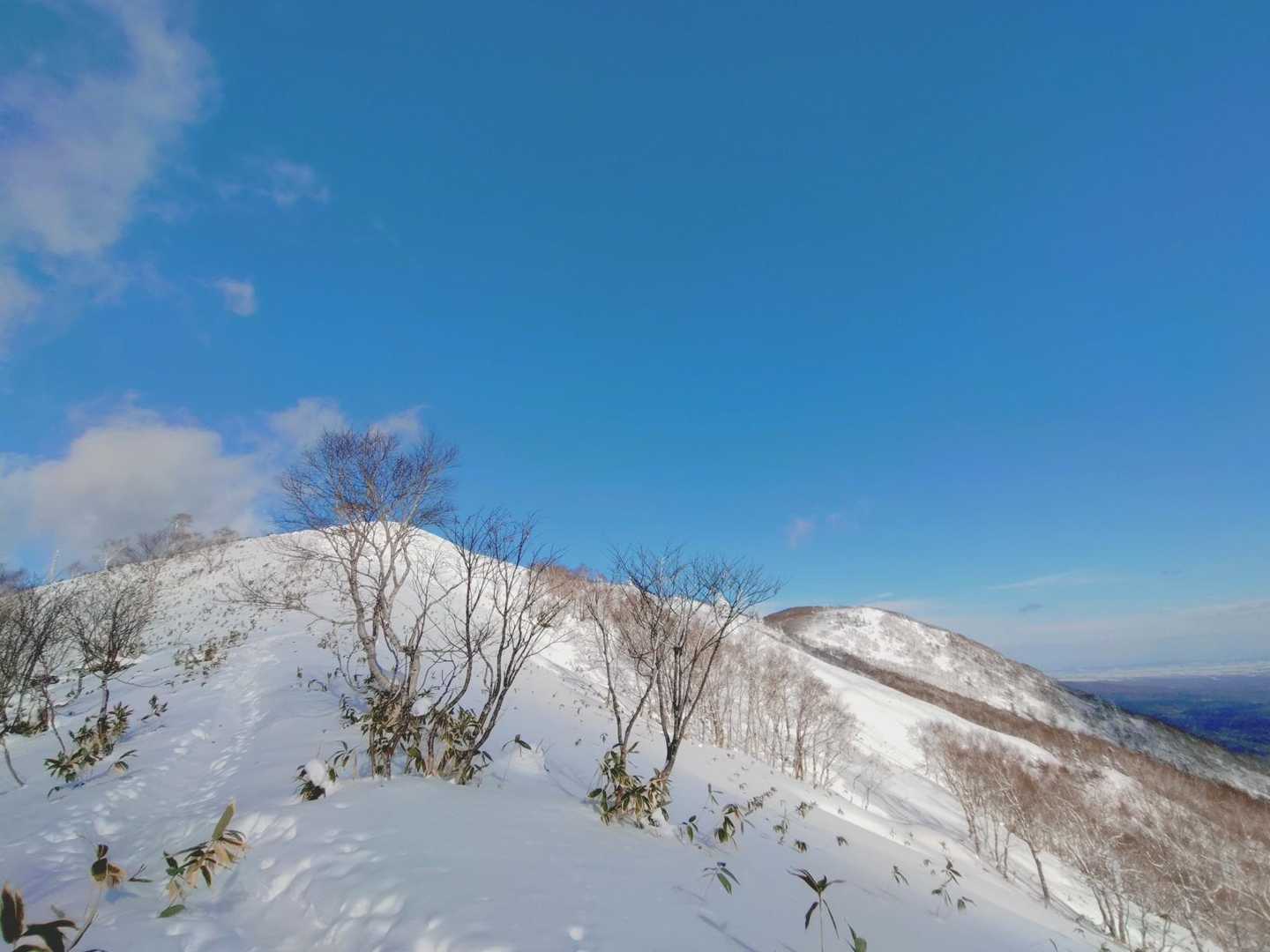 道がはっきりしないけど目的地はまる見えです🤭