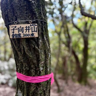 小向井山に到着
木々に囲まれていて景色はないですね^^;