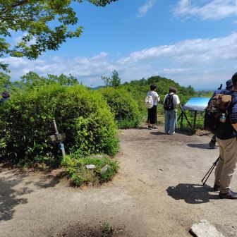 この撮影後に向こうの看板前で伊吹山の場所を巡って看板が正しいのかに関して議論となり、ちょっとした面白コントが発生🤣