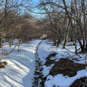 さらに進んで山頂を目指す。