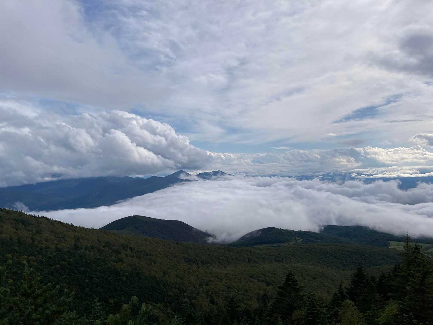 根子岳-四阿山 周回コースの写真