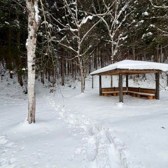 こちらからぁ～