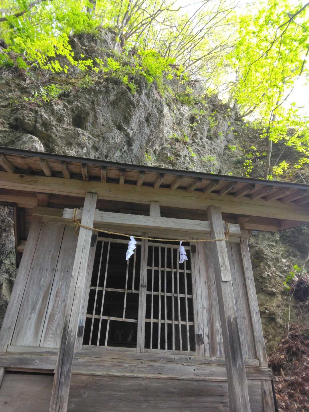 岩の陰に