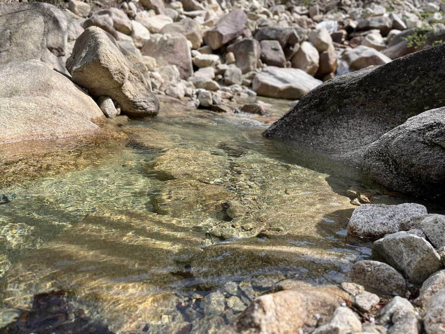 💧✨

今日は1リットルの水が全部無くなってしまいました。飲みたい…。