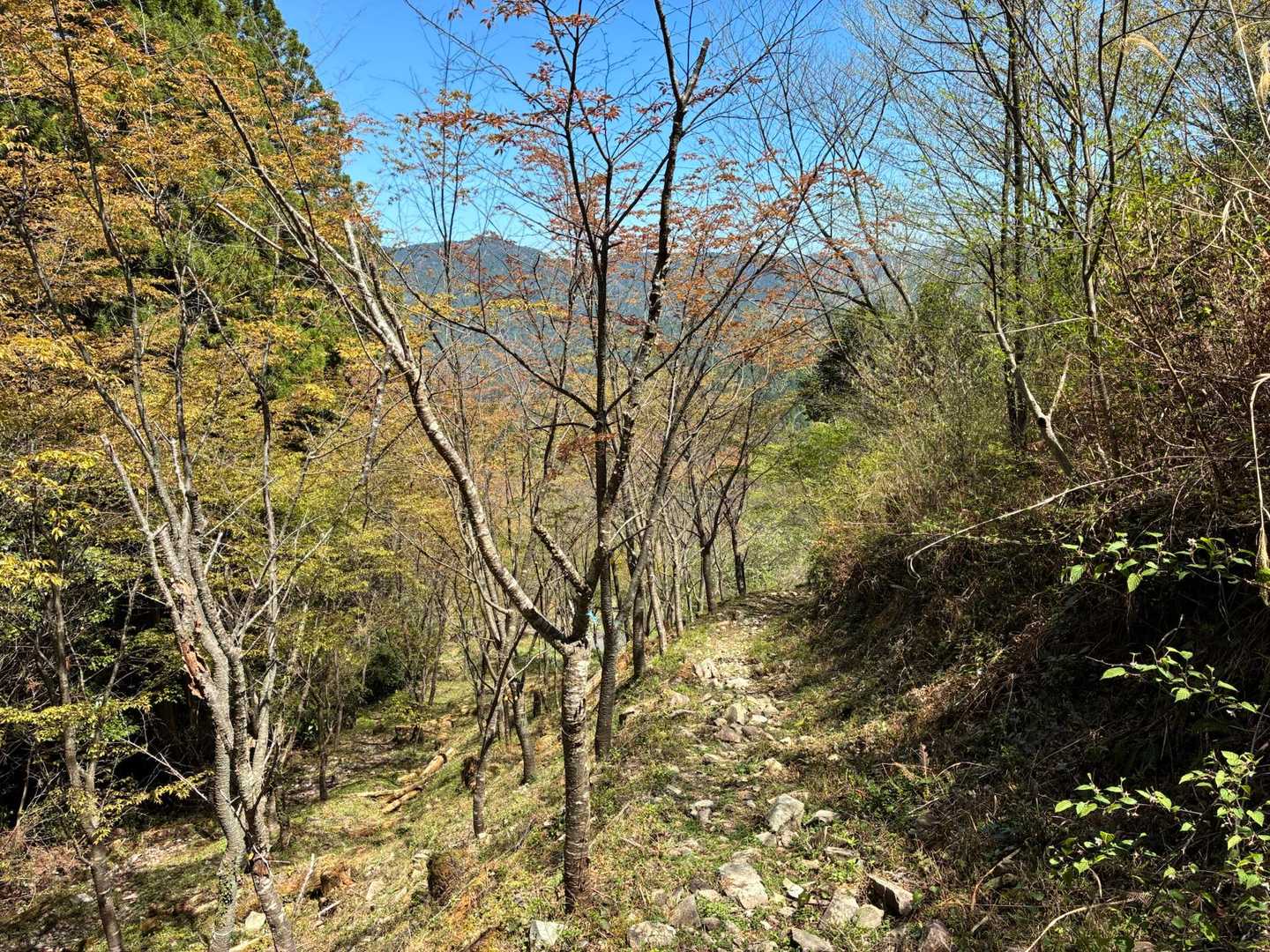 まもなく登山口です🚶‍♂️