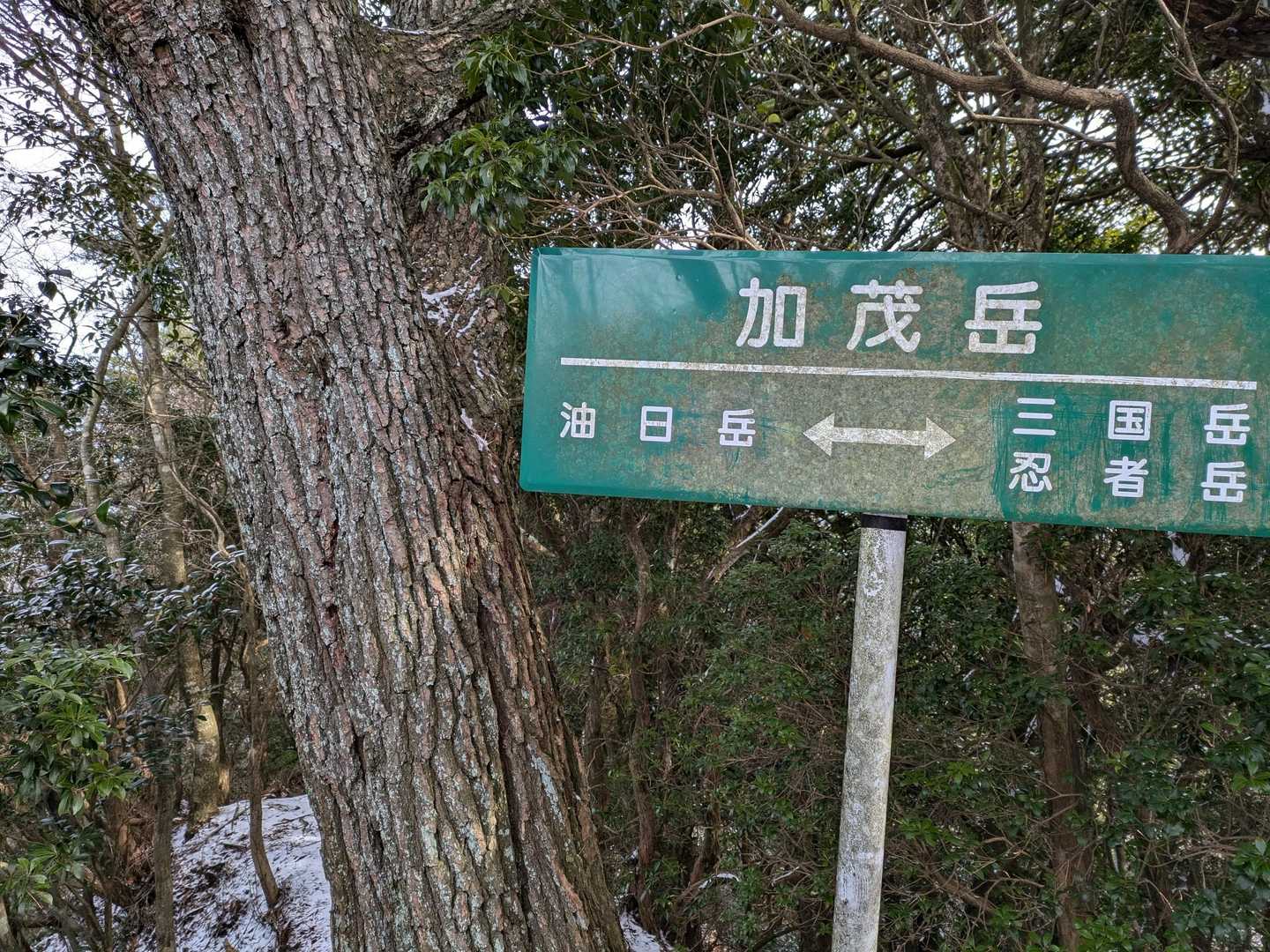 今日の２座目、加茂岳