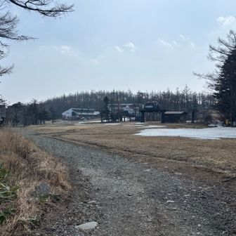 春休みでゴンドラが臨時運行してました。