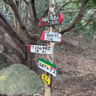 手書きの標識さん