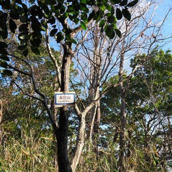 本庄山、初登頂⛰️