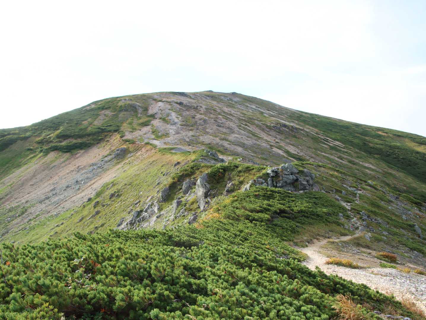 山頂手前から