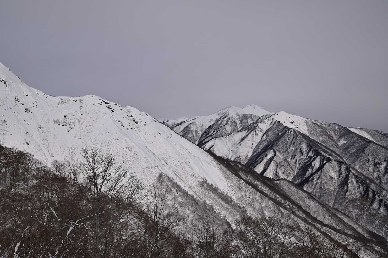 登山入口-熊穴沢ノ頭 往復コースの写真