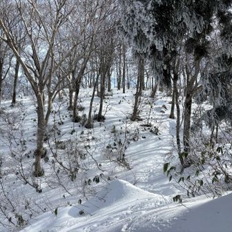 頂上付近は完全に雪山の様相。