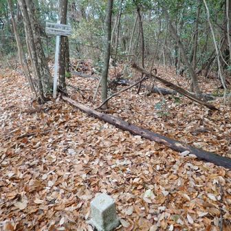 梁瀬山の頂上