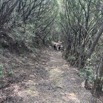登ってたら太鼓台を担いで降りてきる人たちに出会しました！
まじで危なそう💦気をつけてください。


この後は清掃の邪魔になるので写真も撮らずに素早く離れました。
