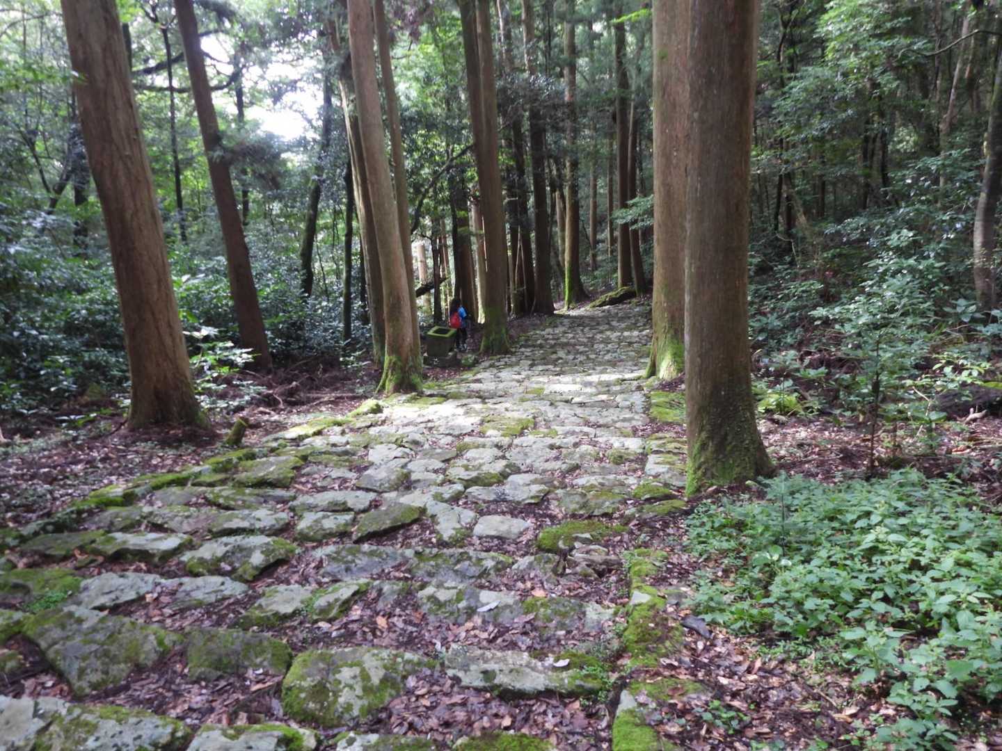 どこも雰囲気いいのです