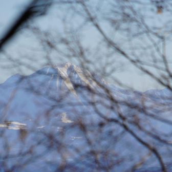 枝の間から見える大山