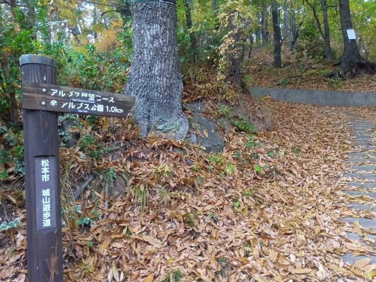 先ずは鳥居山まで行き戻ります