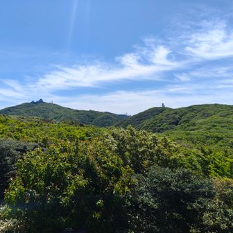 脊振山頂を望む