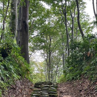 羽黒山有料道路脇に、新奥の細道として、羽黒山荒沢寺まではしっかりと整備されている