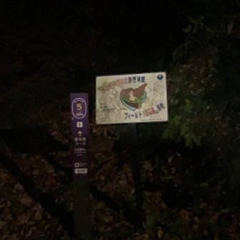 真っ暗な中スタートです！
1人だと怖いですが、2人だと安心感あります😊
楽しんで来ます♪
