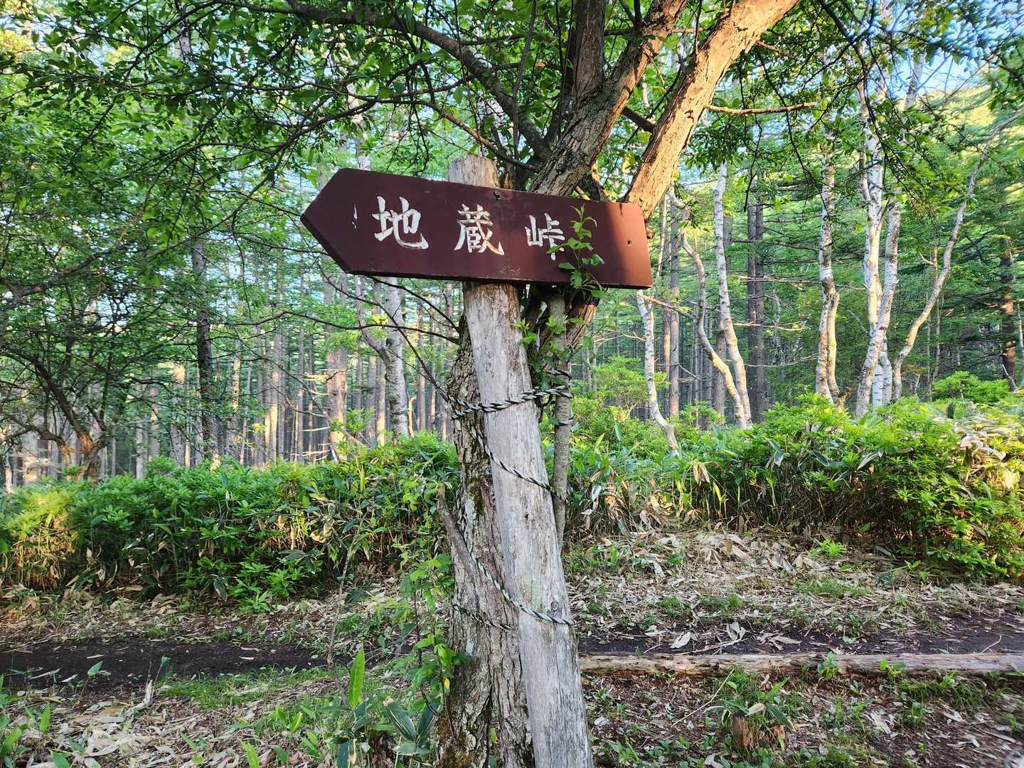 地蔵峠。地蔵はいなかったような。