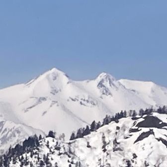 最近はネコ耳で人気が出始めているそうですね🐈