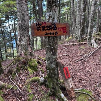 前黒法師山到着。前黒法師岳じゃなくて前黒法師山ですね。