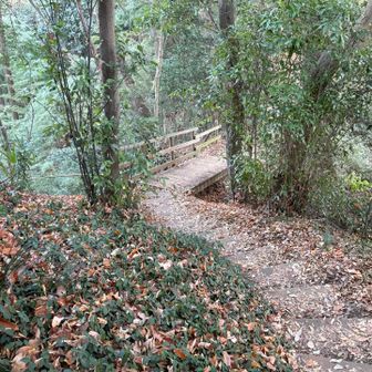 来た道と同じルートを戻ります。
こちらの螺旋状の階段や橋はとても滑りました💦
でも、短いながらもおもしろい山歩きでした!