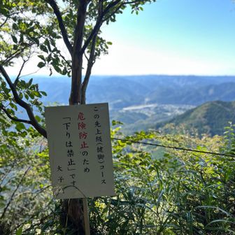 コース終盤で知らずにコースから逸れてしまい、少し下りながら元の場所に行くという場面がありましたが、たしかに下りになると難易度が上がります。逸れてしまったルートは踏み跡を感じたのでそこそこの人が間違えていそう