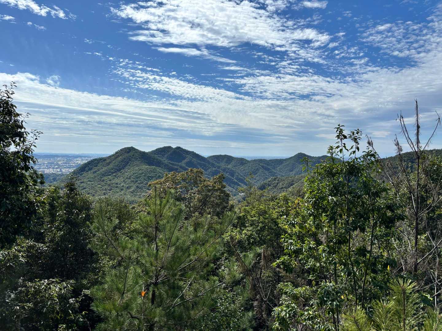 近くの山々が見える

　　　　　展望台からの景色