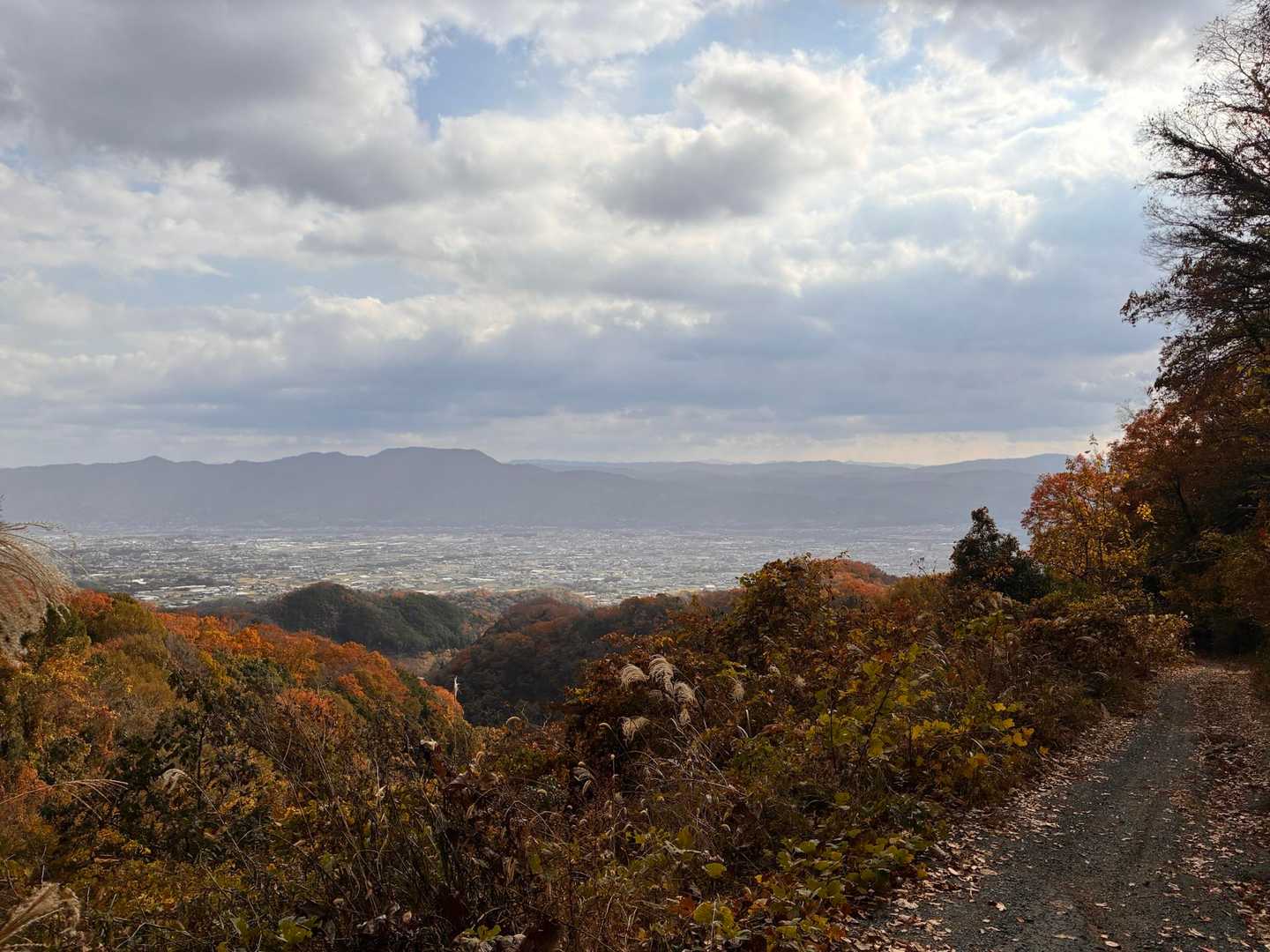 土仏峠 往復コースの写真