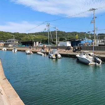 魚釣船のマリーナ