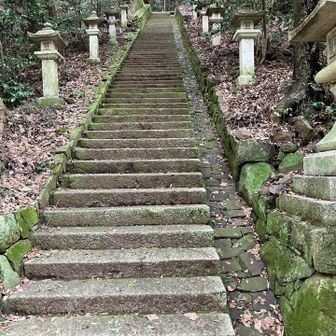 グレーピークに向います
階段は373段