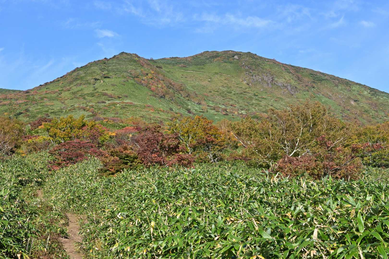 林から出て正面にスダレ山
ずっと紅葉は微妙だと思っていたのですが、上の方は色づいていますね