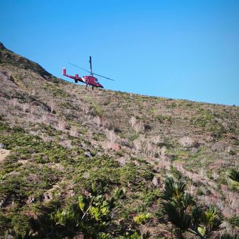 ヘリコプター近距離🚁