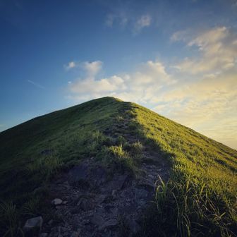 イモる