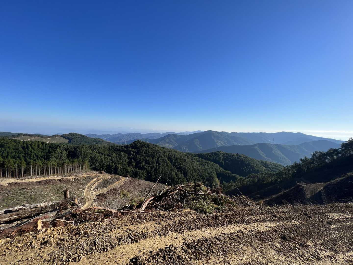 竜王山-竜王山 往復コースの写真