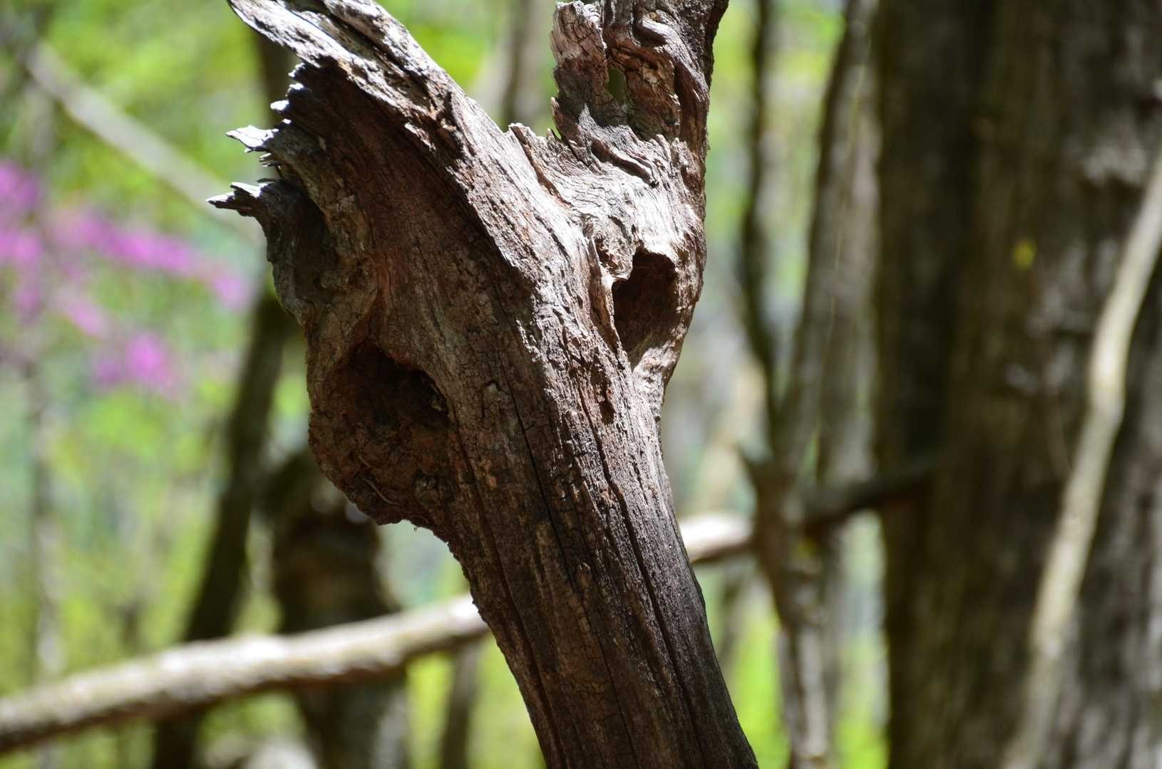 ほらっ
怖いな笑