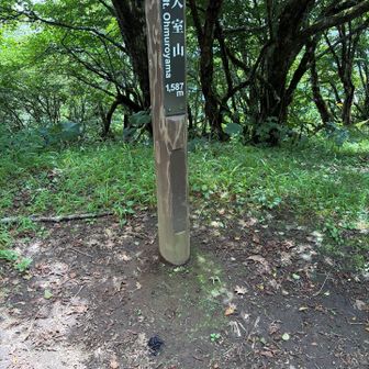 山頂は小蠅が多くて早々に退散