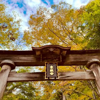 この先にある本陣山に向かいます