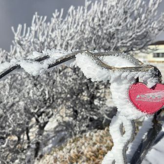 霧氷

ハートの飾りがありました