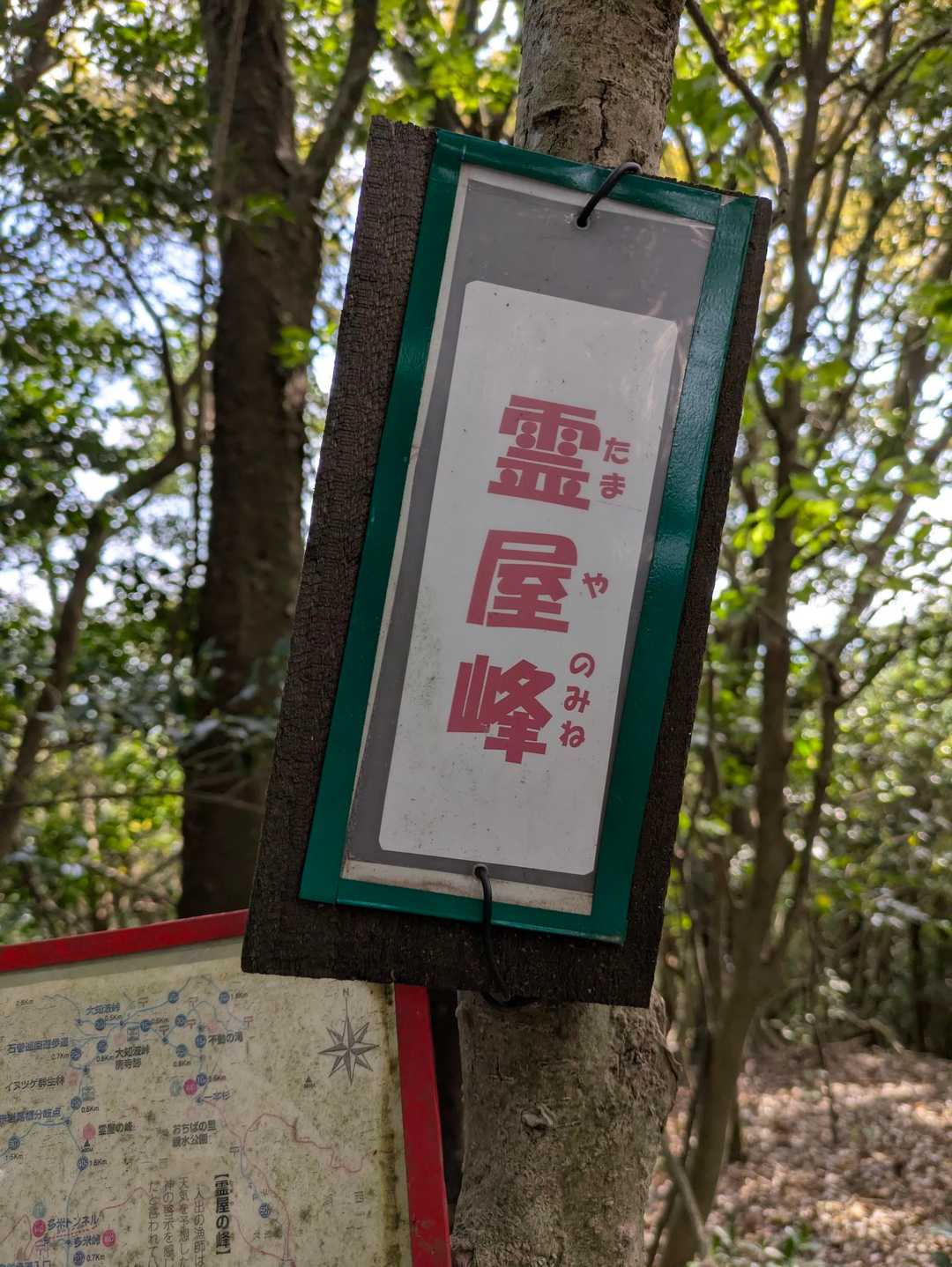 登頂✌