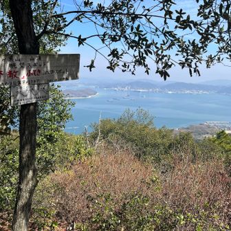 早速、鳶ガ巣山に到着しました。