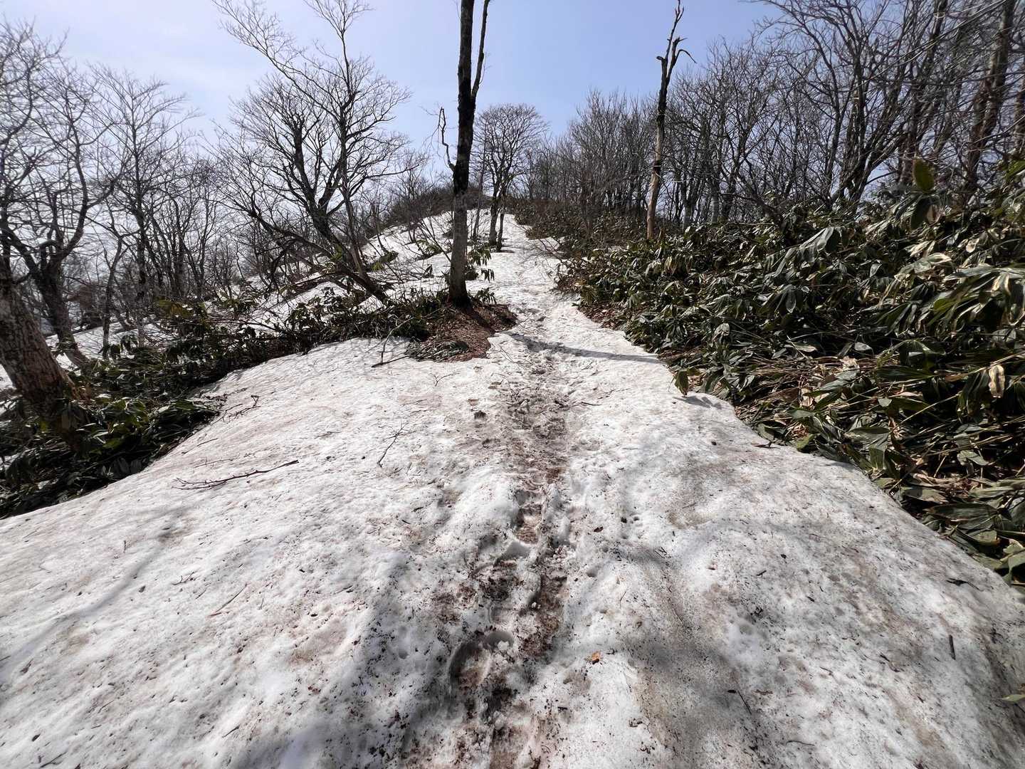 鳥上滝コース登山口-船通山 往復コースの写真