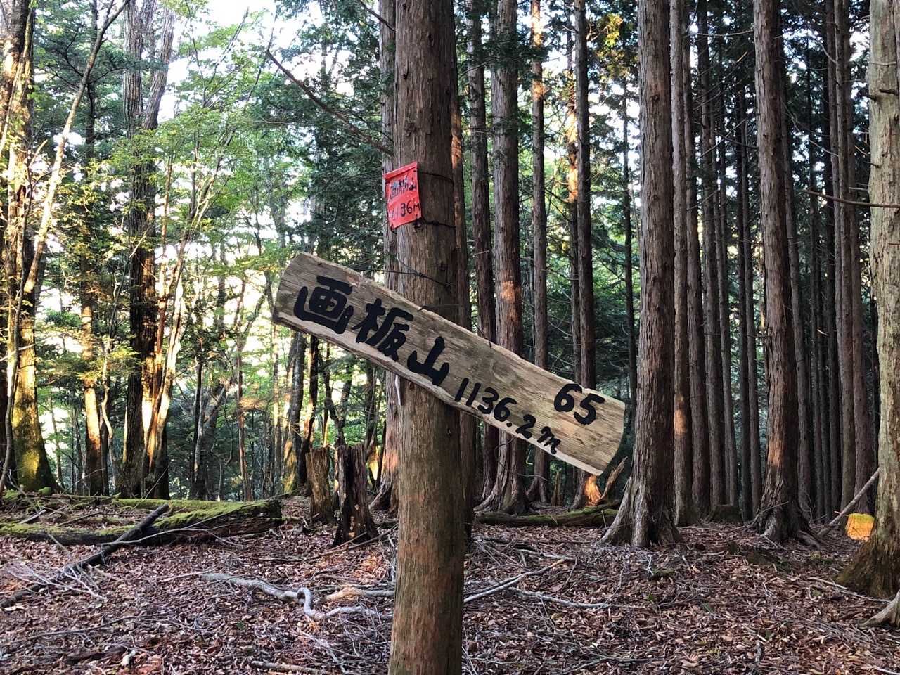 画栃山 えどちやま ✨
