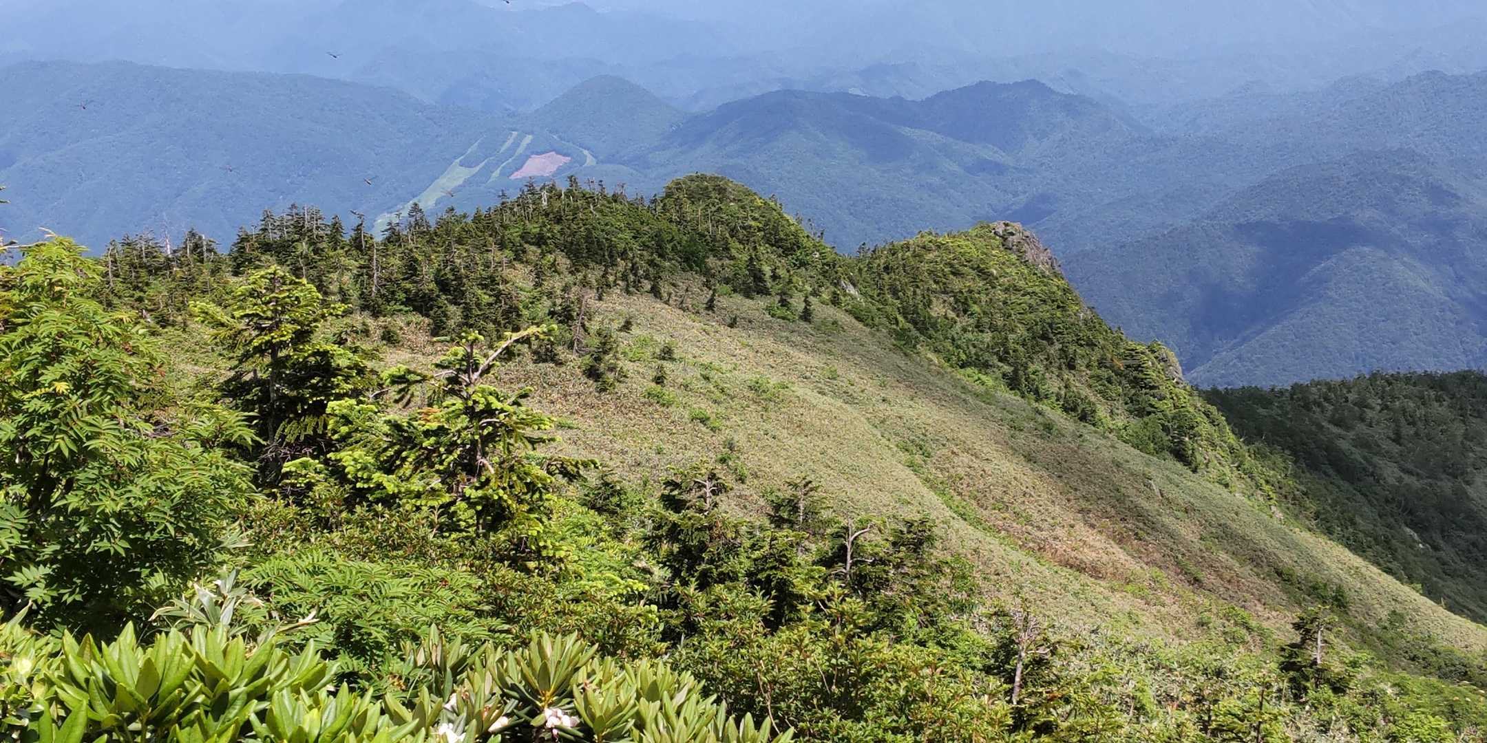 山頂から眼下に望める三つの岩山(コブ山)が三岩岳の命名の由来だそうです