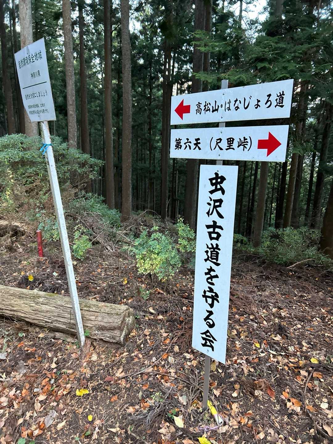 尺里峠-高松山 往復コースの写真
