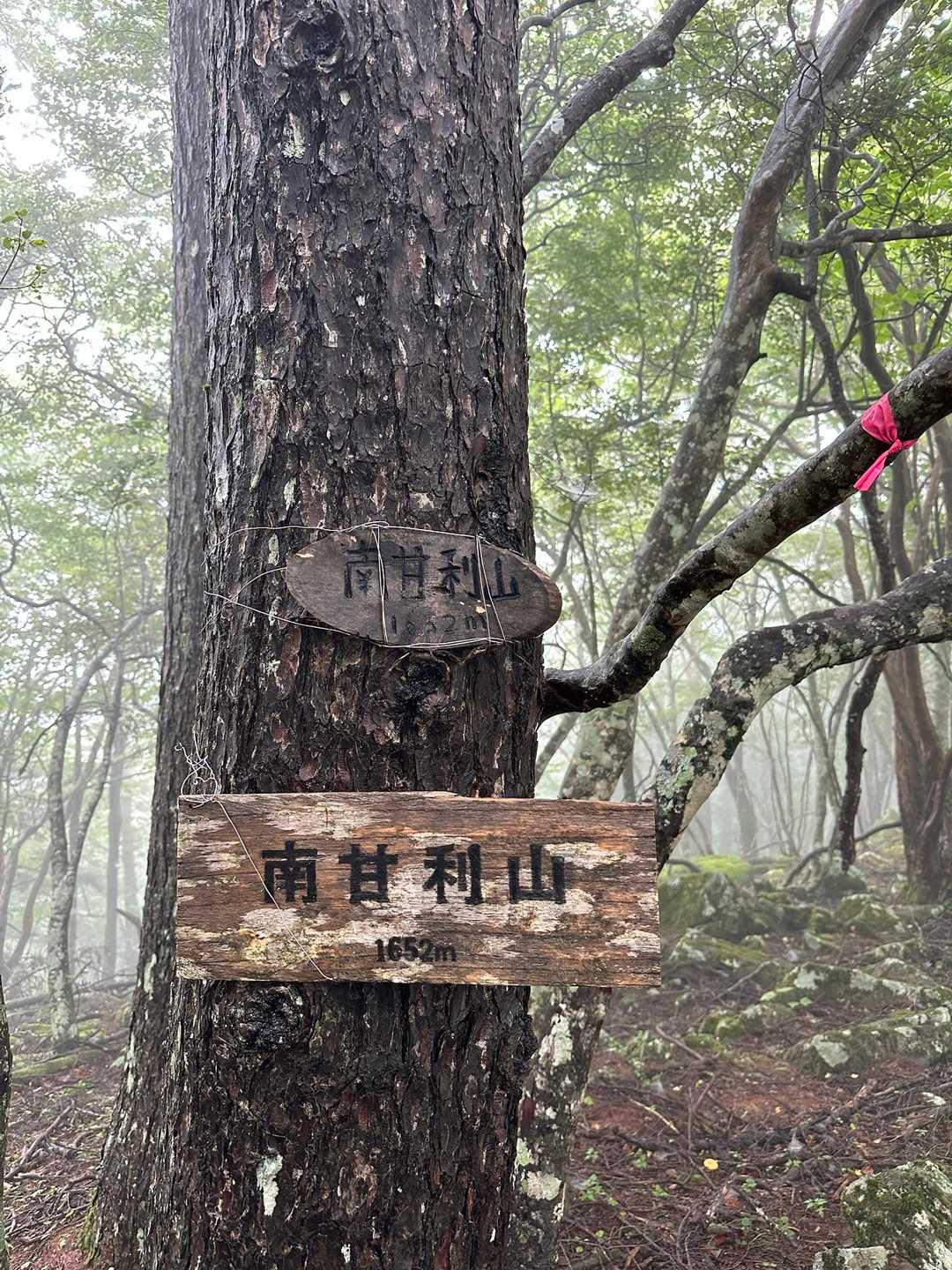 甘利山登山口-甘利山-南甘利山 往復コースの写真